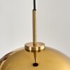 Koyoto Hängeleuchte Glas 30 cm Gold, Schwarz, 1-flammig