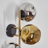 Ripoll Wandleuchte Glas 15 cm Gold, Schwarz, 3-flammig