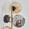 Ripoll Wandleuchte Glas 15 cm Gold, Schwarz, 3-flammig