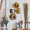 Ripoll Wandleuchte Glas 15 cm Gold, Schwarz, 3-flammig