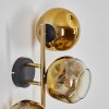 Ripoll Wandleuchte Glas 15 cm Gold, Schwarz, 3-flammig