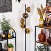 Koyoto Stehleuchte Glas 15 cm Gold, Klar, 5-flammig
