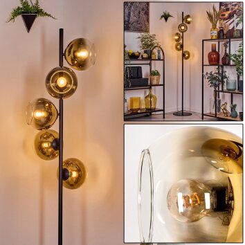 Koyoto Stehleuchte Glas 15 cm Gold, Klar, 5-flammig