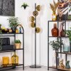 Koyoto Stehleuchte Glas 15 cm Gold, Klar, 5-flammig