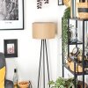 Soungou Stehleuchte 38 cm Schwarz, 1-flammig