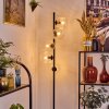 Ripoll Stehleuchte Glas 15 cm Klar, 5-flammig