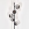 Ripoll Stehleuchte Glas 15 cm Chrom, Rauchfarben, 5-flammig