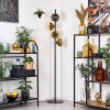 Koyoto Stehleuchte Glas 15 cm Gold, Klar, 4-flammig