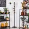 Koyoto Stehleuchte Glas 15 cm Klar, 5-flammig