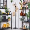 Koyoto Stehleuchte Glas 15 cm Bernsteinfarben, 6-flammig