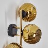 Ripoll Wandleuchte Glas 15 cm Gold, Schwarz, 3-flammig