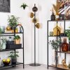 Ripoll Stehleuchte Glas 15 cm Gold, Klar, 4-flammig