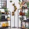 Koyoto Stehleuchte Glas 15 cm Gold, 6-flammig