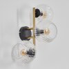 Ripoll Wandleuchte Glas 15 cm Gold, Schwarz, 3-flammig