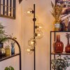 Ripoll Stehleuchte Glas 15 cm Klar, 6-flammig
