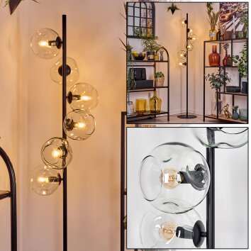 Ripoll Stehleuchte Glas 15 cm Klar, 6-flammig