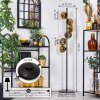 Ripoll Stehleuchte Glas 15 cm Gold, Klar, 6-flammig