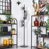 Koyoto Stehleuchte Glas 15 cm Klar, Rauchfarben, 6-flammig
