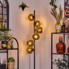 Ripoll Stehleuchte Glas 15 cm Gold, 6-flammig