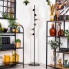 Ripoll Stehleuchte Glas 15 cm Klar, 6-flammig