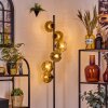 Ripoll Stehleuchte Glas 15 cm Gold, Klar, 6-flammig