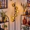 Ripoll Stehleuchte Glas 15 cm Gold, Klar, 6-flammig