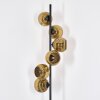 Ripoll Stehleuchte Glas 15 cm Gold, 6-flammig