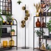 Ripoll Stehleuchte Glas 15 cm Gold, 6-flammig