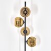Koyoto Stehleuchte Glas 15 cm Gold, 4-flammig