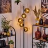Ripoll Stehleuchte Glas 15 cm Gold, 5-flammig