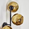 Koyoto Wandleuchte Glas 15 cm Gold, 3-flammig