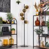 Ripoll Stehleuchte Glas 15 cm Gold, 5-flammig