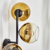 Koyoto Wandleuchte Glas 15 cm Gold, Klar, 3-flammig