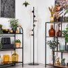 Koyoto Stehleuchte Glas 15 cm Klar, 6-flammig