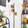 Koyoto Stehleuchte Glas 15 cm Gold, Klar, 3-flammig