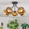 Koyoto Deckenleuchte Glas 15 cm Gold, Klar, 5-flammig