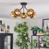 Koyoto Deckenleuchte Glas 15 cm Gold, Klar, 5-flammig