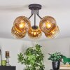 Koyoto Deckenleuchte Glas 15 cm Gold, Klar, 5-flammig
