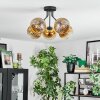 Koyoto Deckenleuchte Glas 15 cm Gold, Klar, 5-flammig