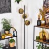 Koyoto Stehleuchte Glas 15 cm Gold, 3-flammig