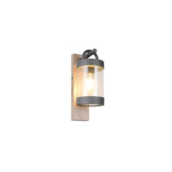 Trio Sambesi Wandleuchte Holz hell, 1-flammig