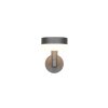 Trio MACKENZIE Wandleuchte LED Anthrazit, 1-flammig