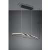 Reality Ginko Pendelleuchte LED Schwarz, 1-flammig