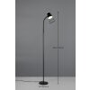 Reality Pongo Stehlampe LED Schwarz, 1-flammig