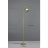 Reality Pongo Stehlampe LED Grün, 1-flammig