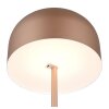 Reality Jeff Stehlampe LED Braun, 1-flammig