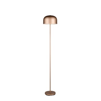Reality Jeff Stehlampe LED Braun, 1-flammig