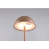 Reality Ricardo Tischleuchte LED Braun, 1-flammig