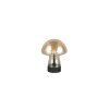 Reality Dooley Tischleuchte LED Braun, Gold, 1-flammig
