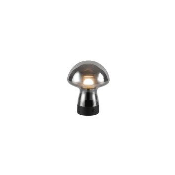 Reality Dooley Tischleuchte LED Rauchfarben, 1-flammig